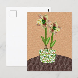 Amaryllis Postcard Postkarte