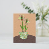 Amaryllis Postcard Postkarte (Stehend Vorderseite)