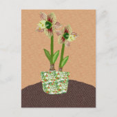 Amaryllis Postcard Postkarte (Vorderseite)