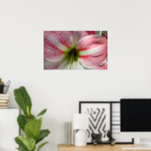 Amaryllis Poster (Heimbüro)