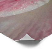 Amaryllis Poster (Ecke)