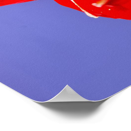 Amaryllis Poster (Ecke)