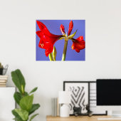 Amaryllis Poster (Heimbüro)