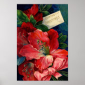 Amaryllis Poster (Vorne)