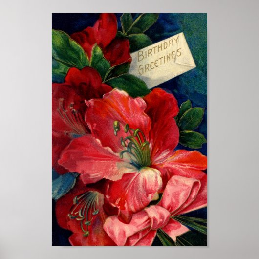 Amaryllis Poster (Vorne)