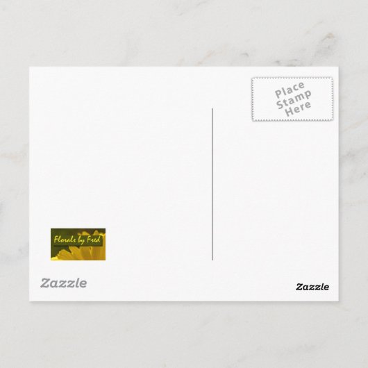 Amaryllis Postkarte (Rückseite)