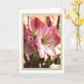 Amaryllis Red And White Blank Card Karte (Gelbe Blume)