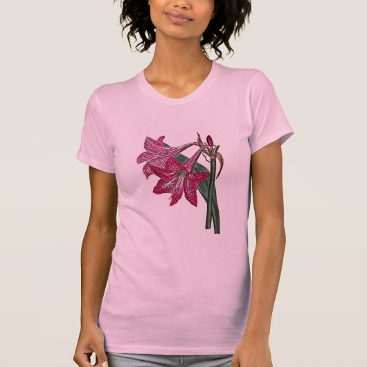 Amaryllis Reticulata T-Shirt (Vorderseite)