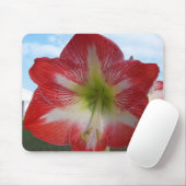 Amaryllis rot-weiß MegaStar Mousepad (Mit Mouse)