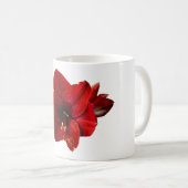 Amaryllis, rote Blume Kaffeetasse (VorderseiteRechts)