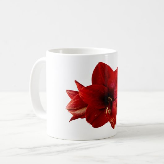 Amaryllis, rote Blume Kaffeetasse (Vorderseite Links)