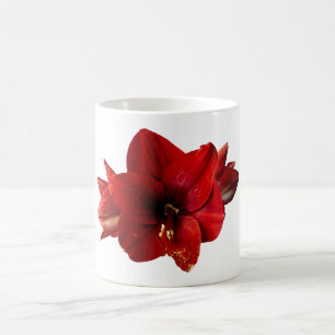 Amaryllis, rote Blume Kaffeetasse