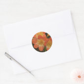 Amaryllis Runder Aufkleber (Umschlag)