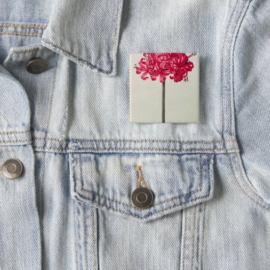 Amaryllis Sarniensis oder Narzisse Button (Beispiel)