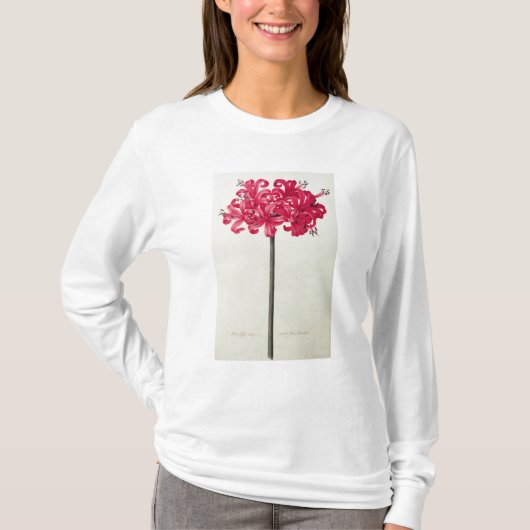 Amaryllis Sarniensis oder Narzisse T-Shirt (Vorderseite)
