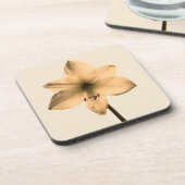 Amaryllis sepia getränkeuntersetzer (Linke Seite)
