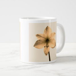 Amaryllis sepia Jumbo-Tasse