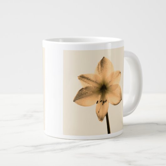 Amaryllis sepia Jumbo-Tasse (Vorderseite Rechts)