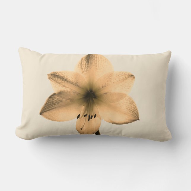Amaryllis sepia lendenkissen (Vorderseite)