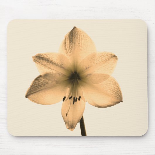 Amaryllis sepia mousepad (Vorne)