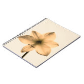 Amaryllis sepia notizblock (Linke Seite)