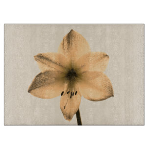 Amaryllis sepia schneidebrett