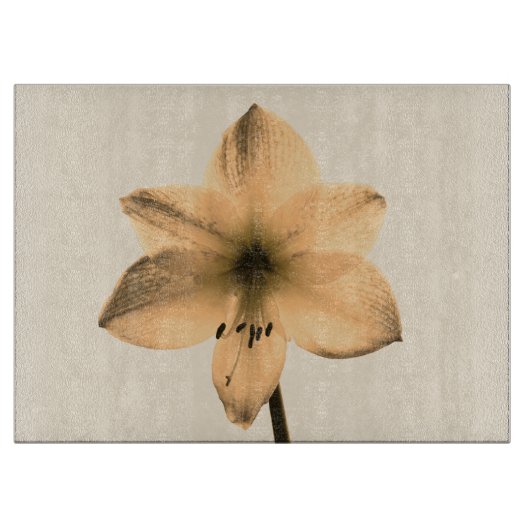 Amaryllis sepia schneidebrett (Vorderseite)