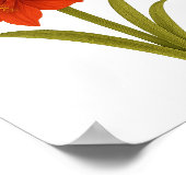 Amaryllis — Stolz, poetische Schönheit Poster (Ecke)