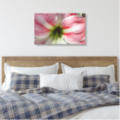 Amaryllis Stretched Canvas Print Leinwanddruck (Insitu (Schlafzimmer))