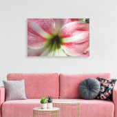 Amaryllis Stretched Canvas Print Leinwanddruck (Insitu (Wohnzimmer))