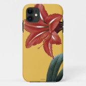 Amaryllis Striped Case-Mate iPhone Hülle (Rückseite)