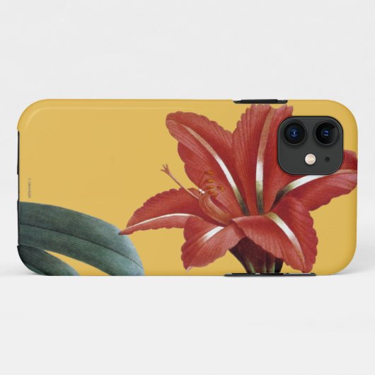 Amaryllis Striped Case-Mate iPhone Hülle (Rückseite (Horizontal))