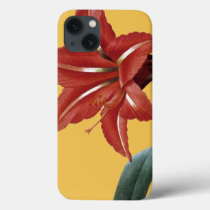 Amaryllis Striped iPhone 13 Hülle