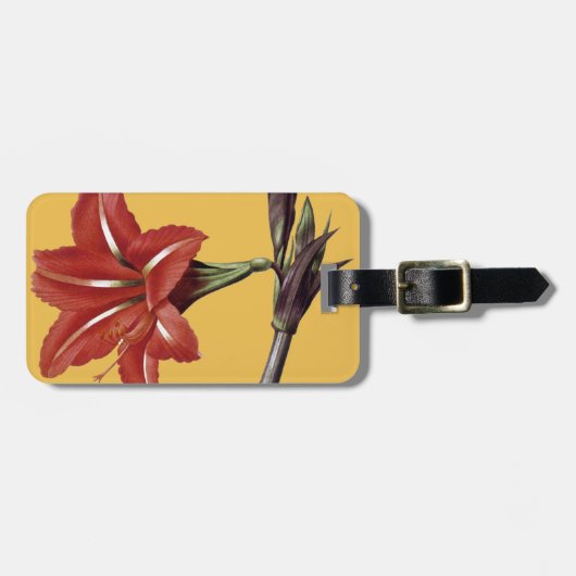 Amaryllis Striped Gepäckanhänger (Vorderseite horizontal)