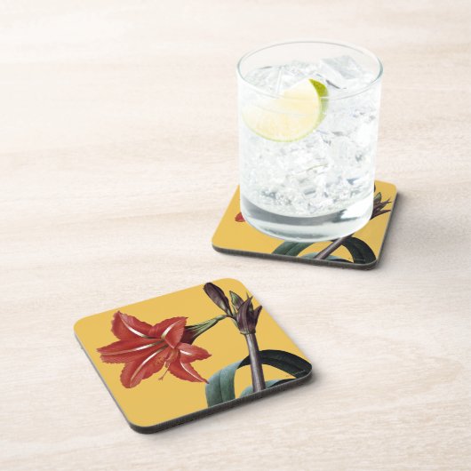 Amaryllis Striped Getränkeuntersetzer (Rechte Seite)