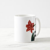 Amaryllis Striped Kaffeetasse (VorderseiteRechts)