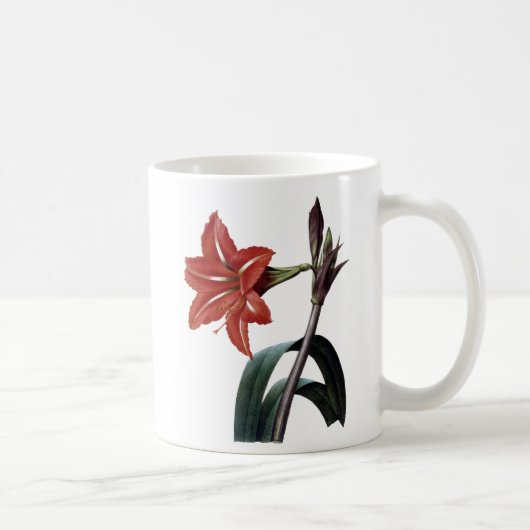 Amaryllis Striped Kaffeetasse (Rechts)