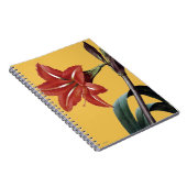 Amaryllis Striped Notizblock (Rechte Seite)