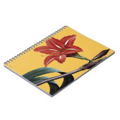 Amaryllis Striped Notizblock (Linke Seite)