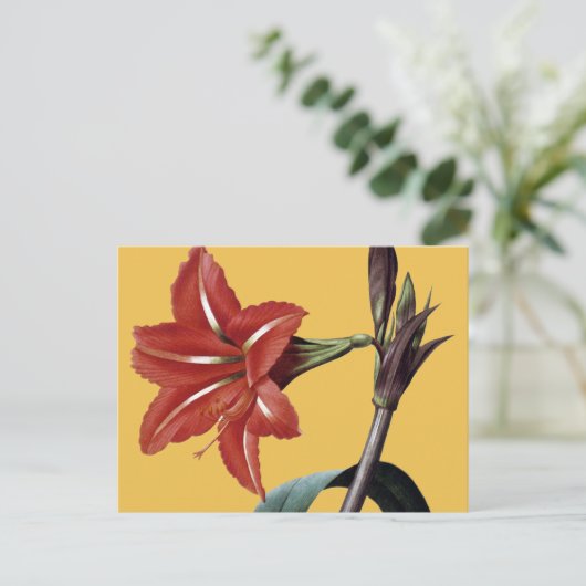 Amaryllis Striped Postkarte (Stehend Vorderseite)