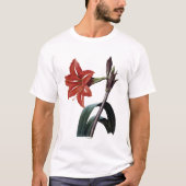 Amaryllis Striped T-Shirt (Vorderseite)