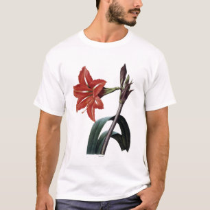 Amaryllis Striped T-Shirt
