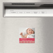 Amaryllis Stripes ・ Kinderankündigung Magnet (In Situ (Geschirrspüler))