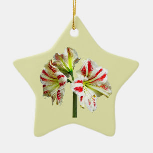 Amaryllis Sydney Keramik Ornament