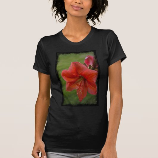 Amaryllis T-Shirt (Vorderseite)