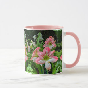 Amaryllis Tasse