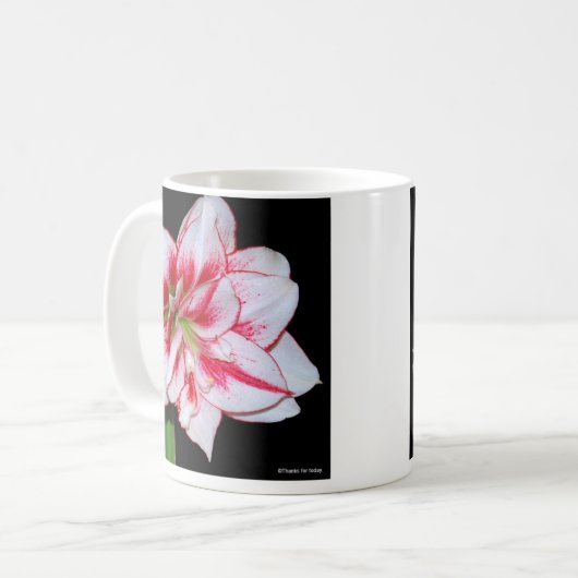 Amaryllis-Tasse Kaffeetasse (Vorderseite Links)