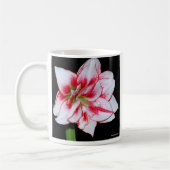Amaryllis-Tasse Kaffeetasse (Links)
