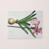 Amaryllis-Tollkirsche, von "Les Liliacees", engrav Puzzle (Horizontal)