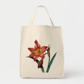 Amaryllis Tragetasche (Vorne)